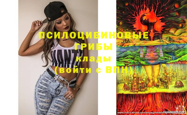МДПВ Киреевск