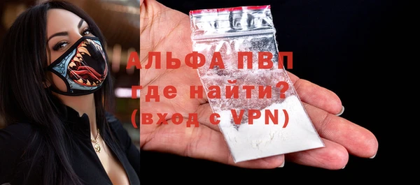 спайс Корсаков