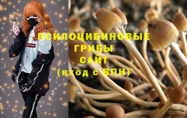 ECSTASY Кинешма
