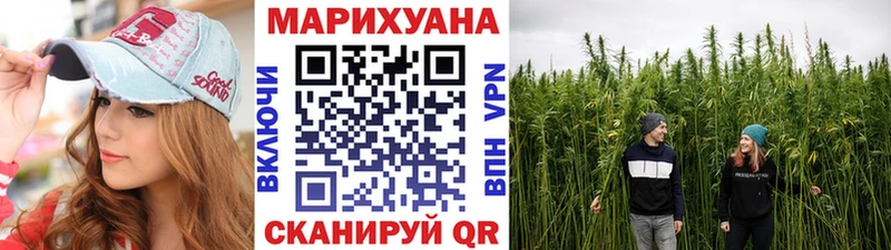 Канабис Bruce Banner  Афипский 